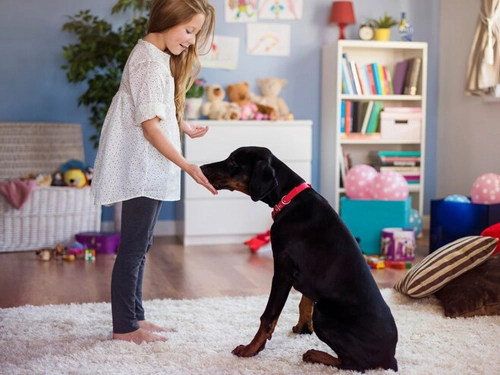 Sincan Halı Yıkama: Güler Yüz ve Uzmanlıkla Temizlik Çözümleri