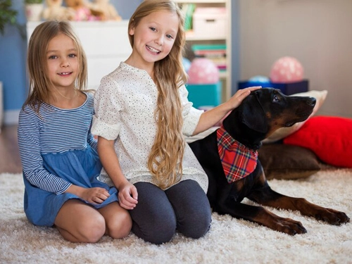 Sincan Halı Yıkama: Otomatik Yıkama İle Etkin ve Hızlı Çözümler