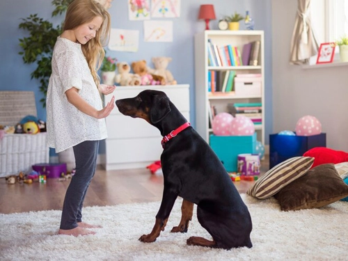 Sincan Halı Yıkama: Rahatlıkla Arayın Ücretsiz Servis Fırsatı